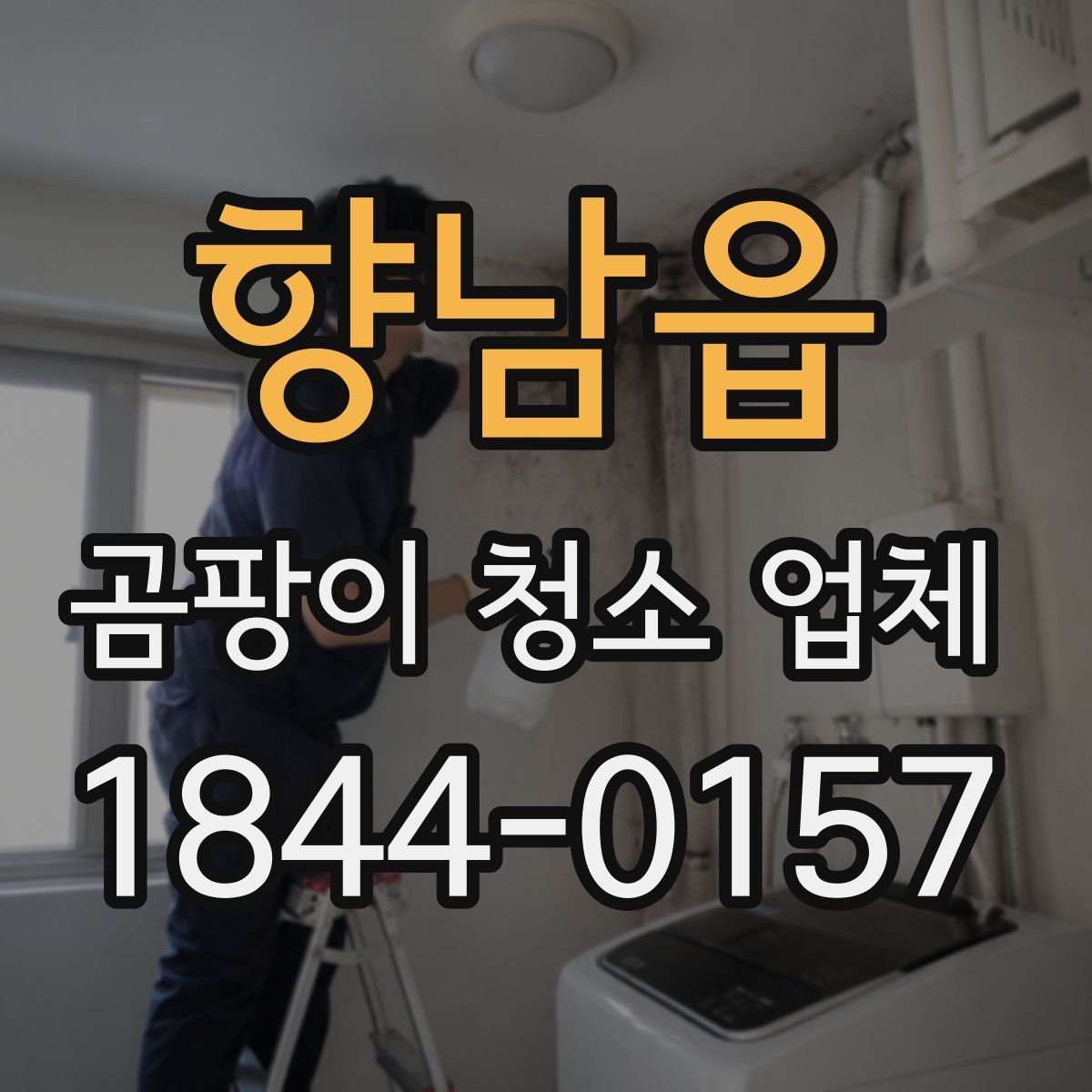 향남읍 곰팡이 청소 업체
