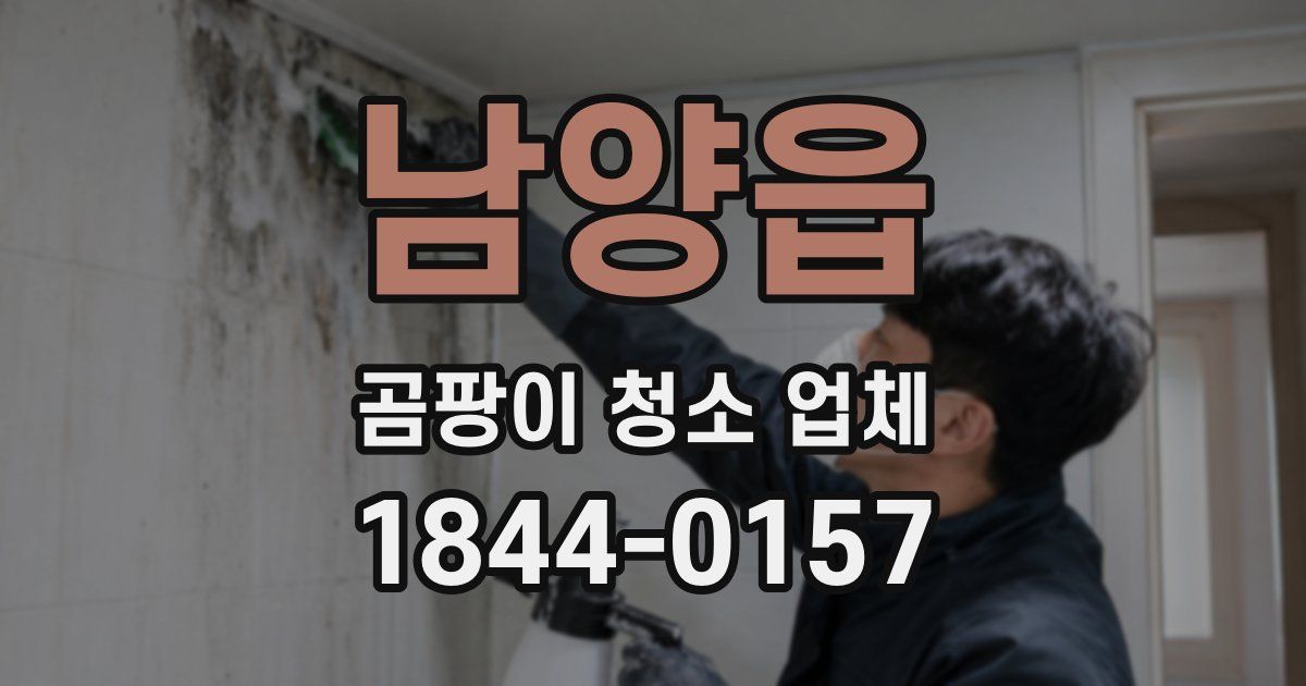 남양읍 곰팡이 청소 업체