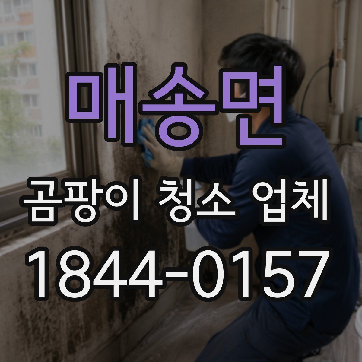 매송면 곰팡이 청소 업체