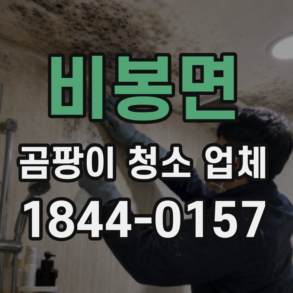 비봉면 곰팡이 청소 업체 작업 범위가 달라지는 견적 체크포인트