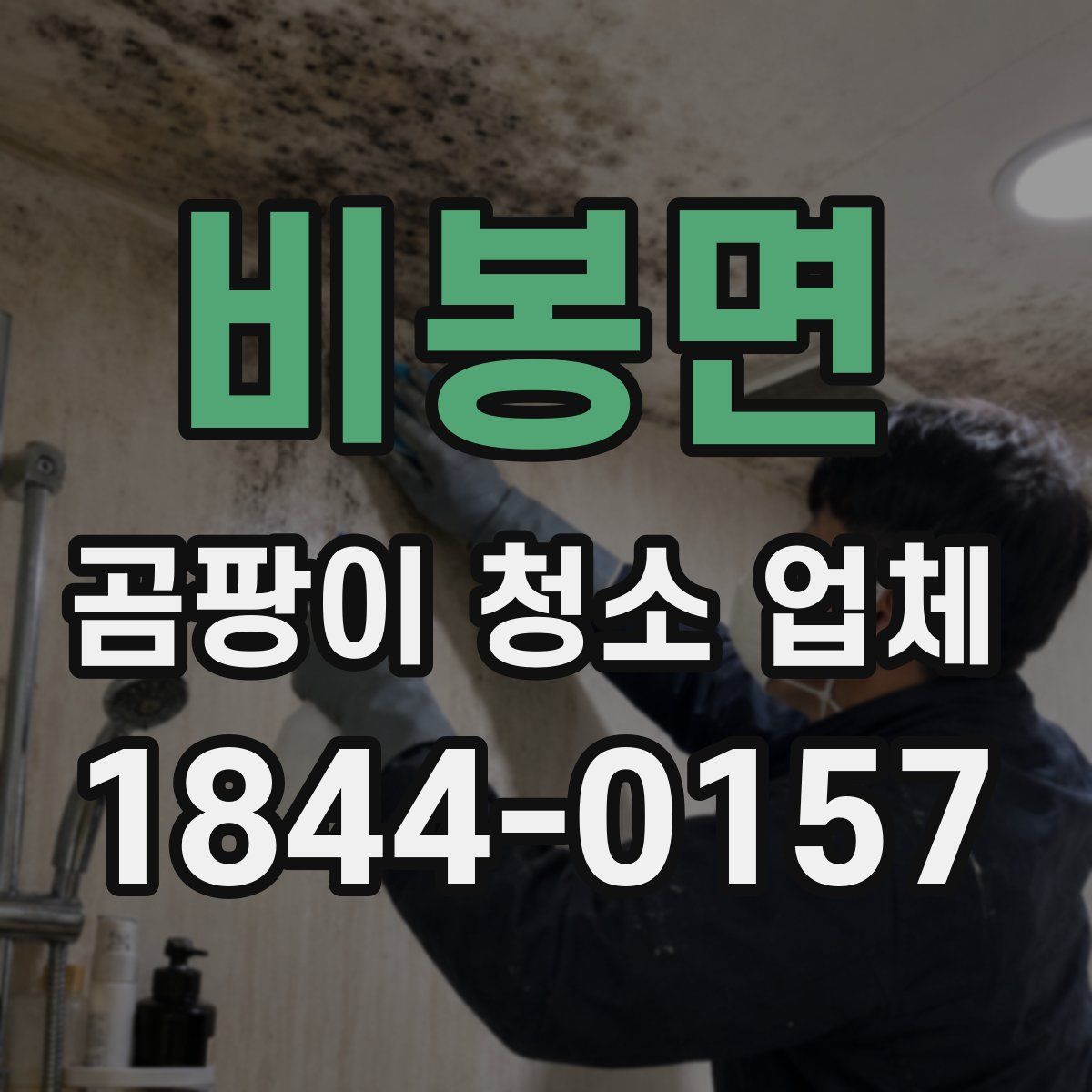 비봉면 곰팡이 청소 업체