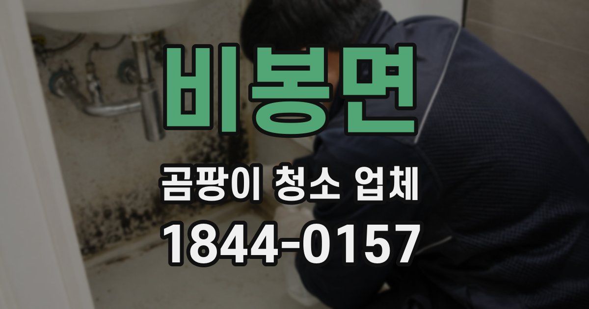 비봉면 곰팡이 청소 업체