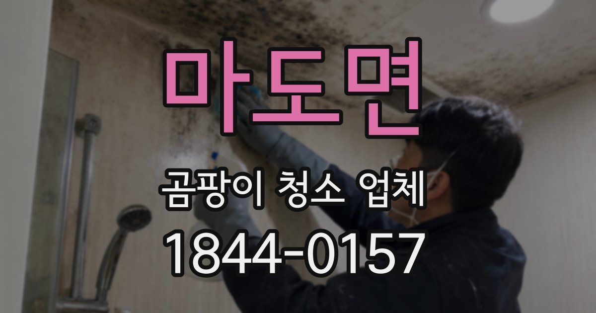마도면 곰팡이 청소 업체