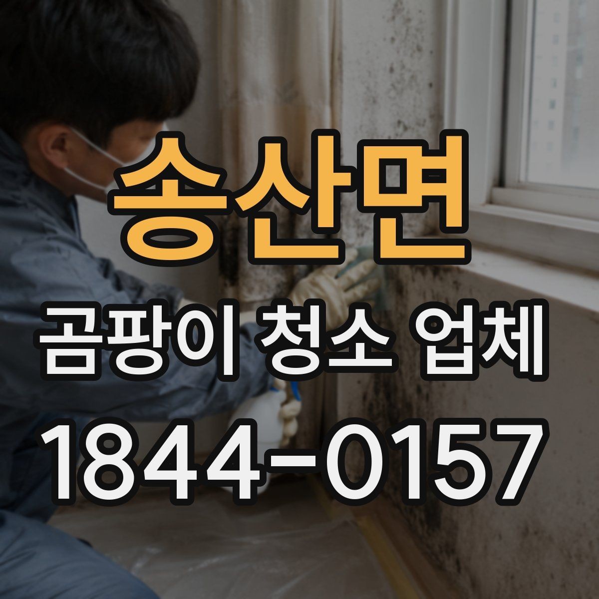 송산면 곰팡이 청소 업체 결로 흔적과 곰팡이를 구별하는 방법