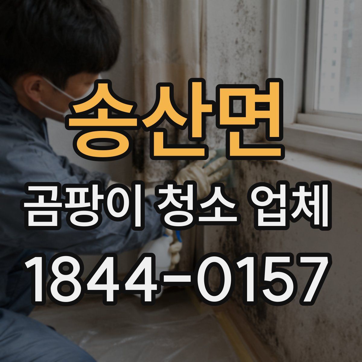 송산면 곰팡이 청소 업체