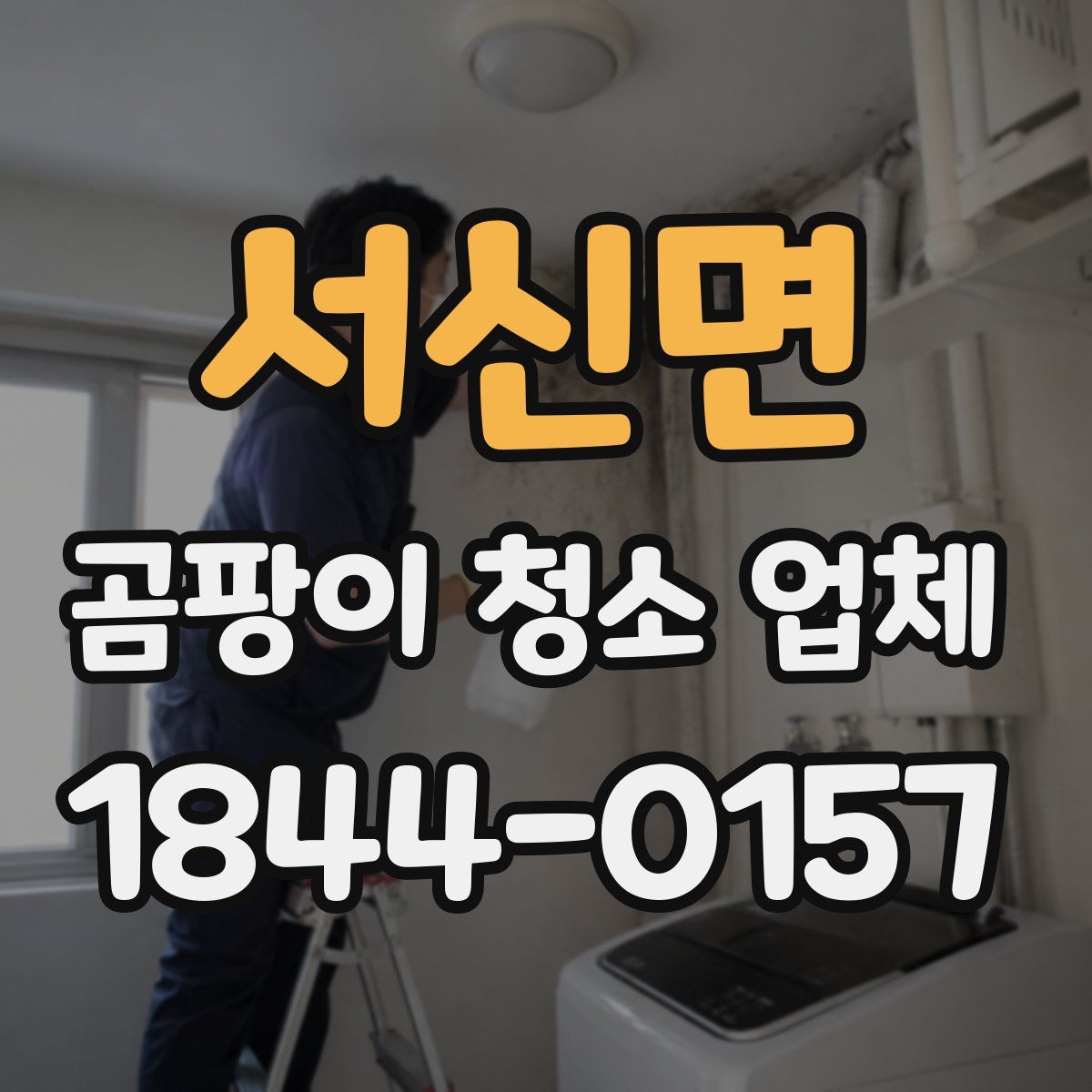 서신면 곰팡이 청소 업체