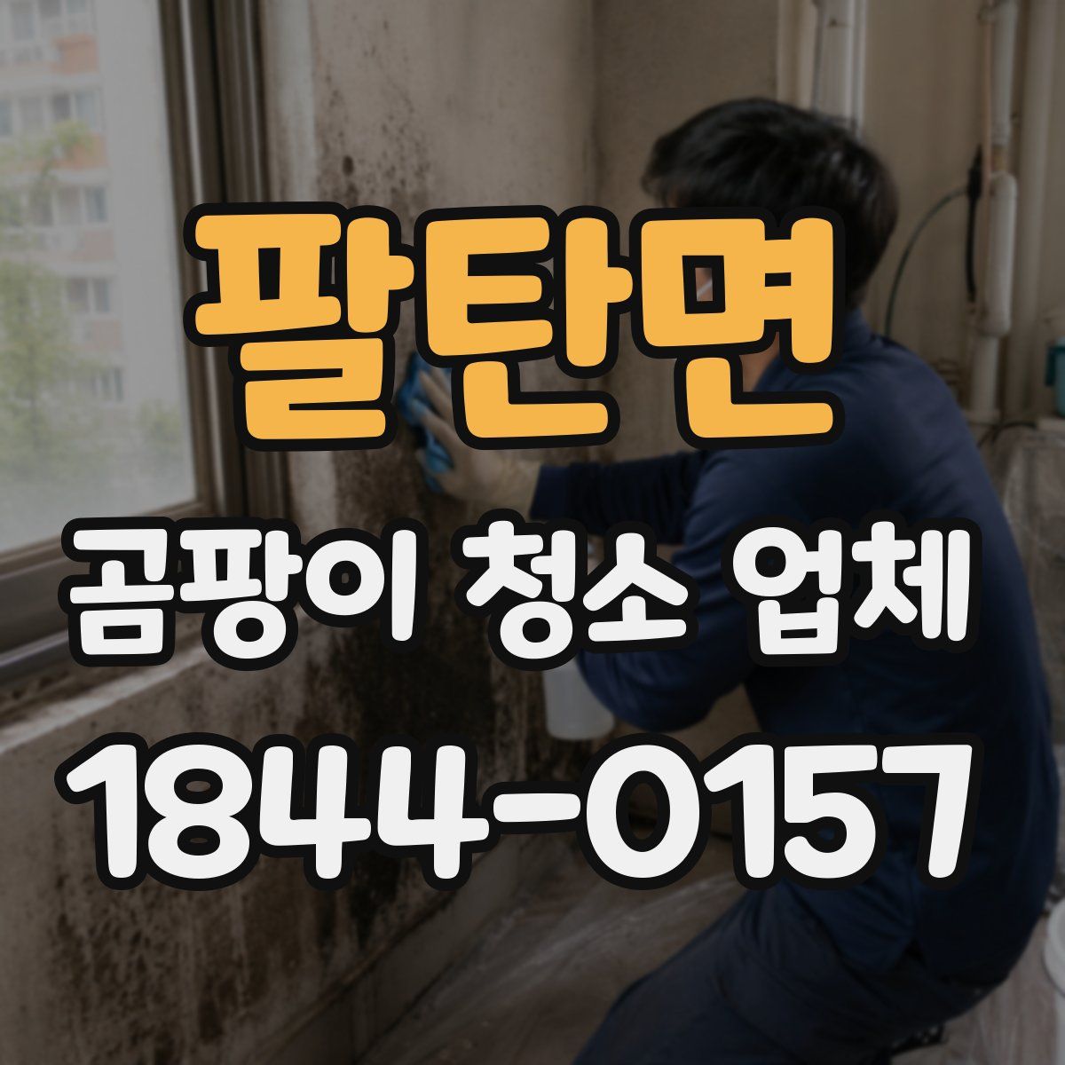 팔탄면 곰팡이 청소 업체