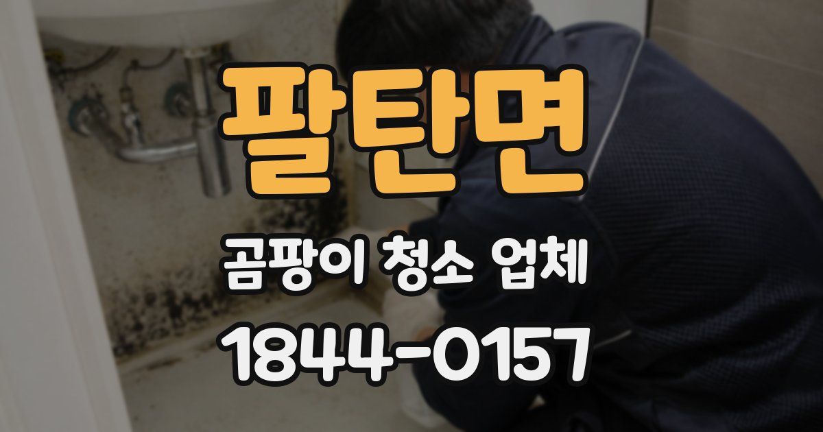 팔탄면 곰팡이 청소 업체