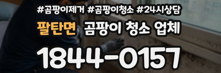 팔탄면 곰팡이 청소 업체