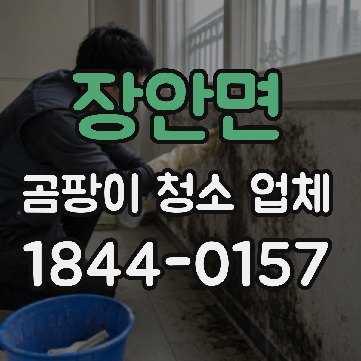 장안면 곰팡이 청소 업체