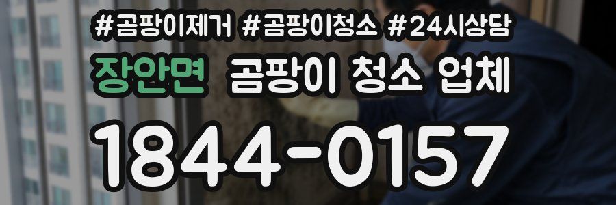 장안면 곰팡이 청소 업체
