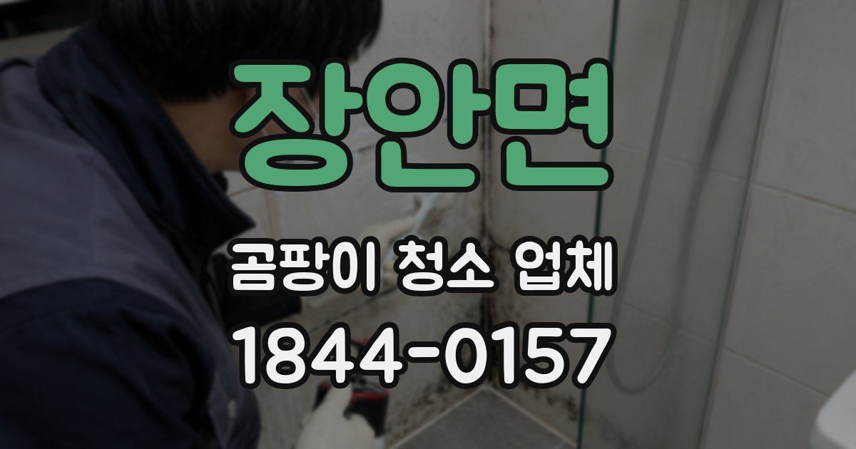 장안면 곰팡이 청소 업체