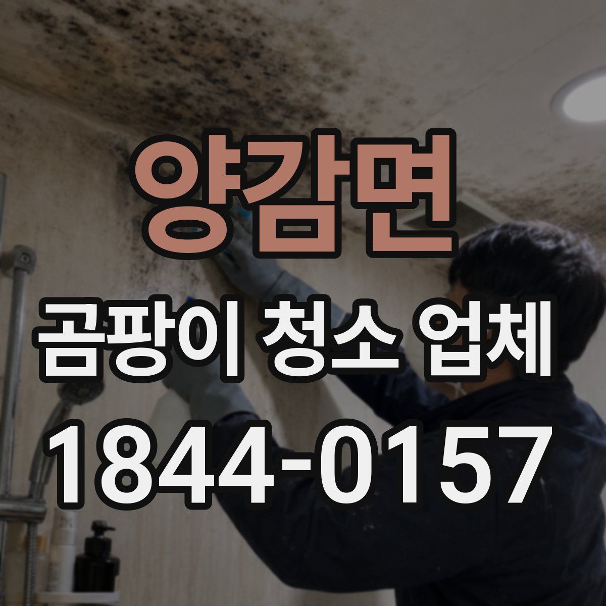 양감면 곰팡이 청소 업체