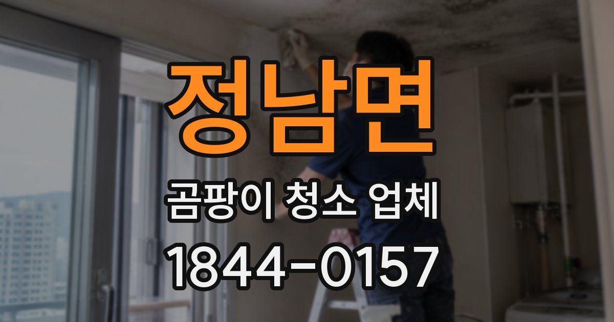 정남면 곰팡이 청소 업체