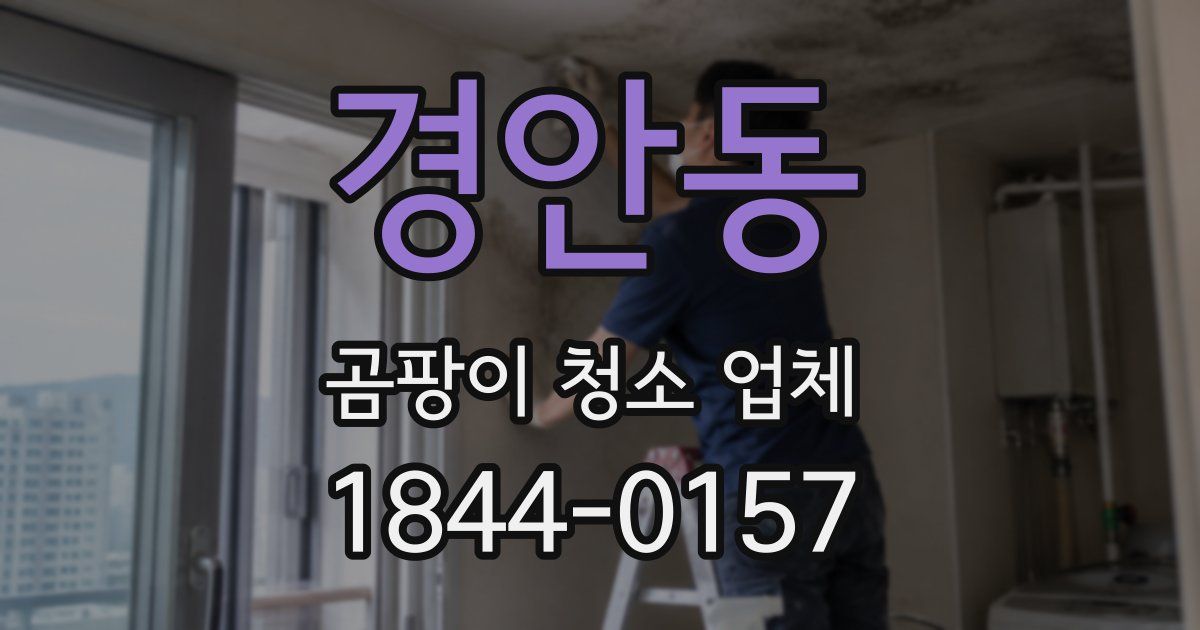 경안동 곰팡이 청소 업체