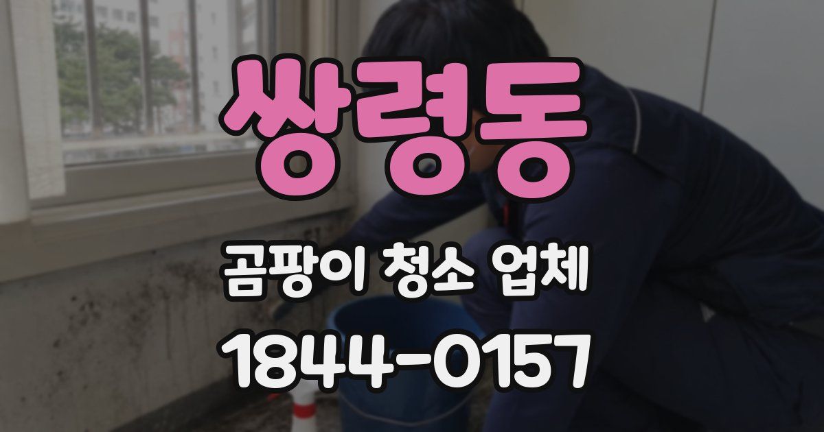 쌍령동 곰팡이 청소 업체