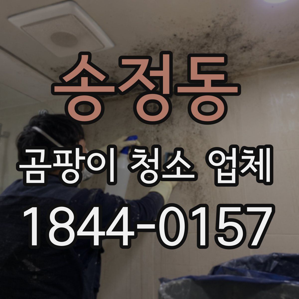 송정동 곰팡이 청소 업체