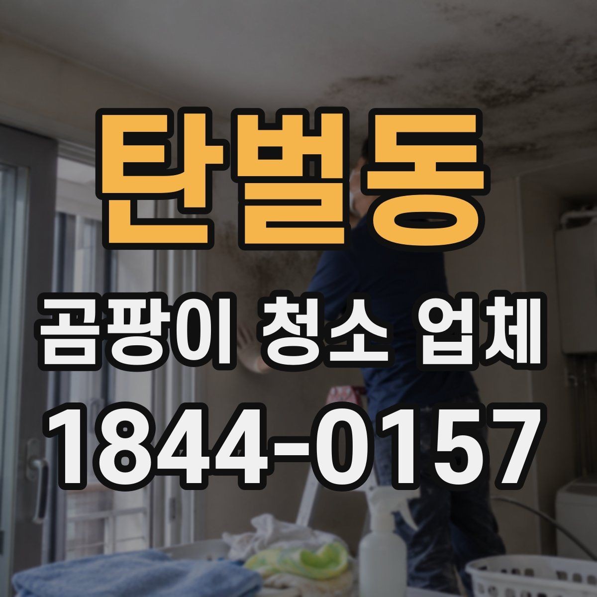 탄벌동 곰팡이 청소 업체 알레르기 걱정이 있을 때 살펴볼 기준