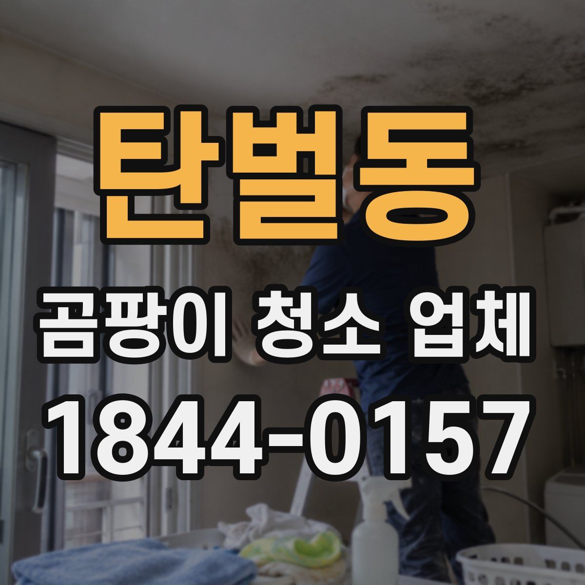 탄벌동 곰팡이 청소 업체