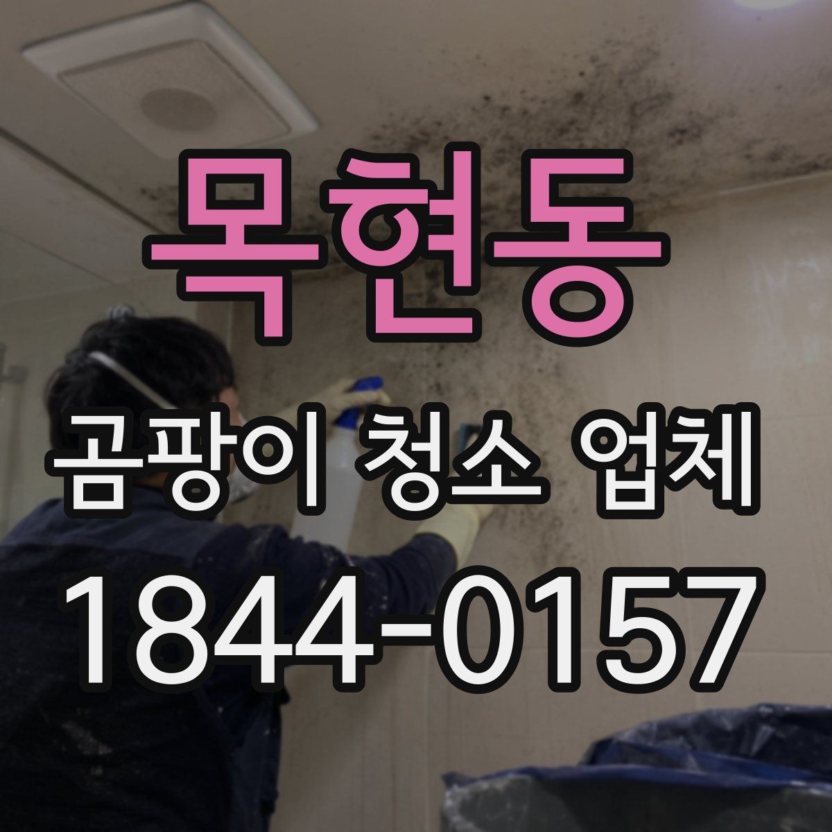 목현동 곰팡이 청소 업체 가구와 커튼 오염이 있을 때 처리 순서