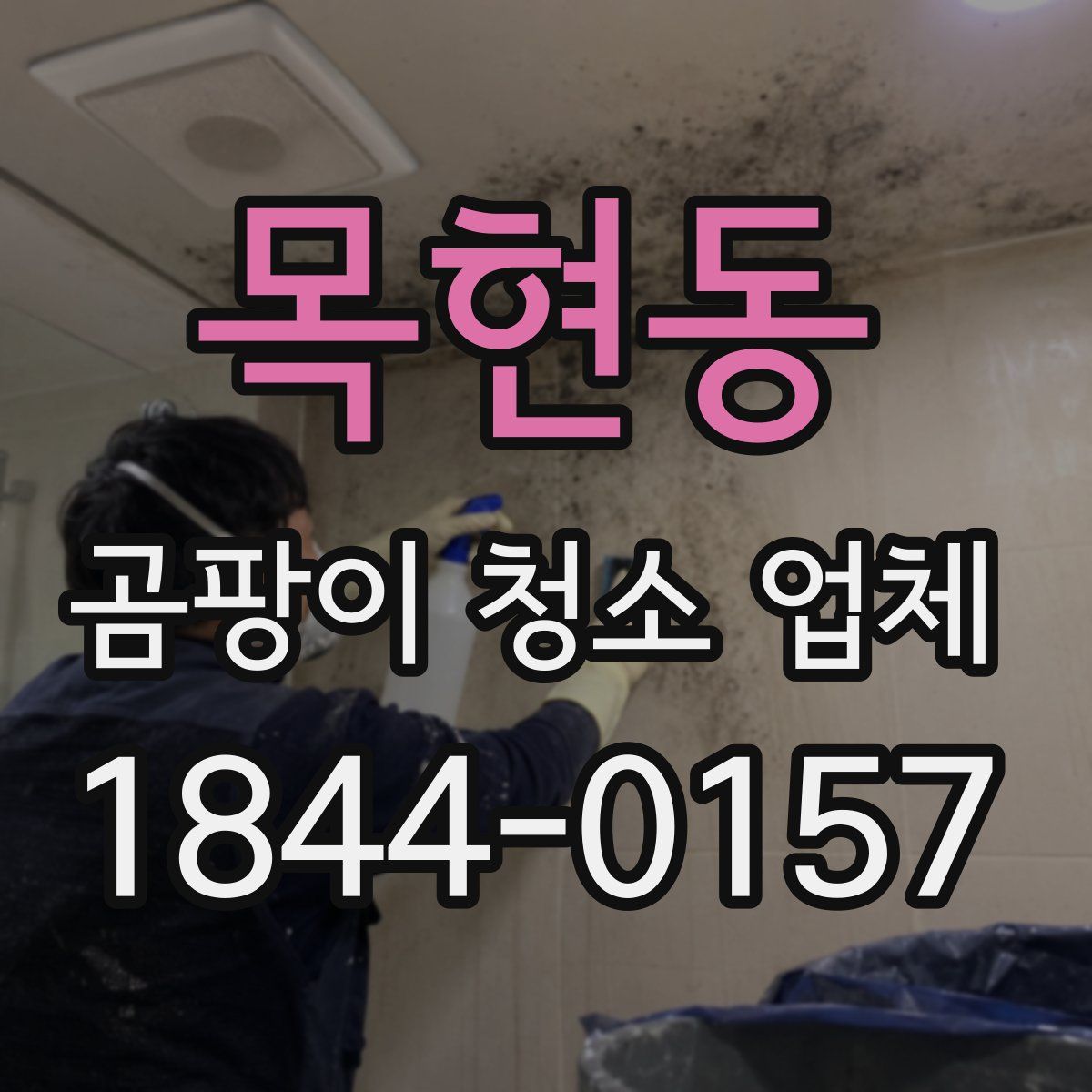 목현동 곰팡이 청소 업체