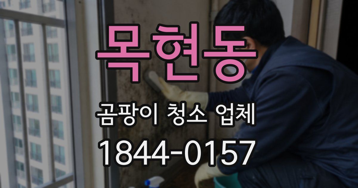 목현동 곰팡이 청소 업체