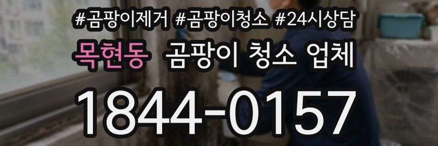 목현동 곰팡이 청소 업체