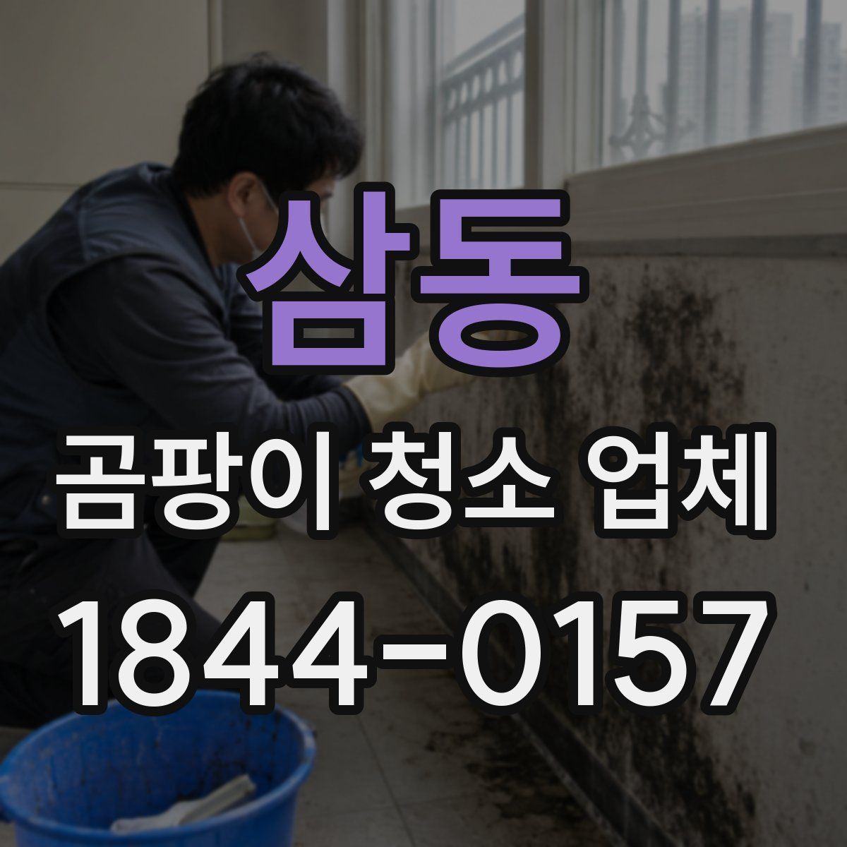 삼동 곰팡이 청소 업체