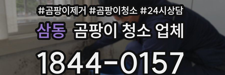 삼동 곰팡이 청소 업체