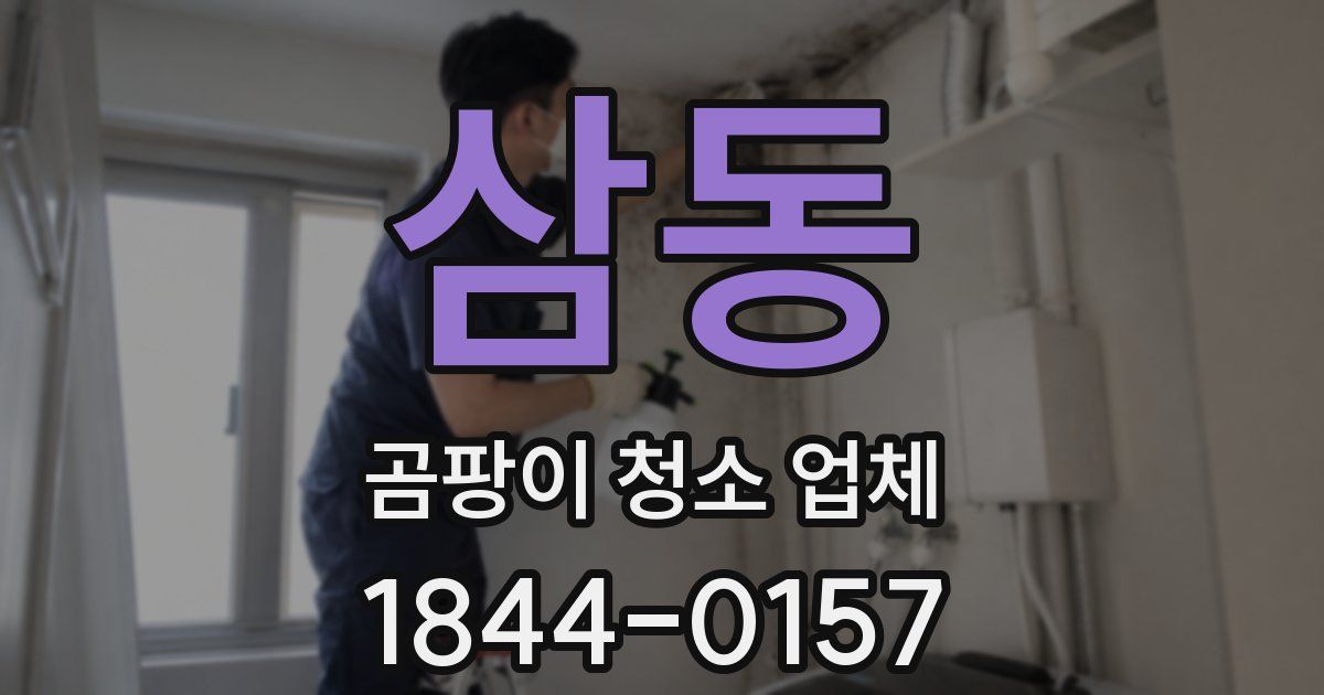 삼동 곰팡이 청소 업체