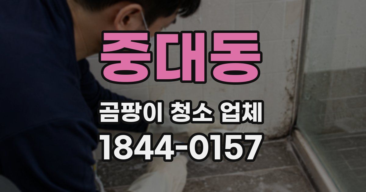 중대동 곰팡이 청소 업체