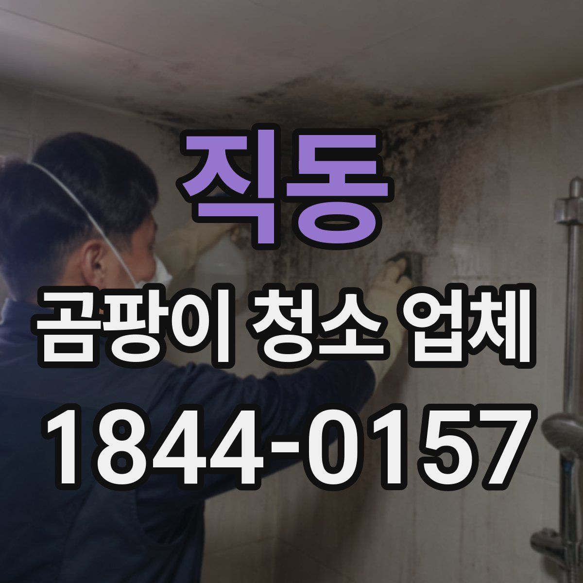 직동 곰팡이 청소 업체