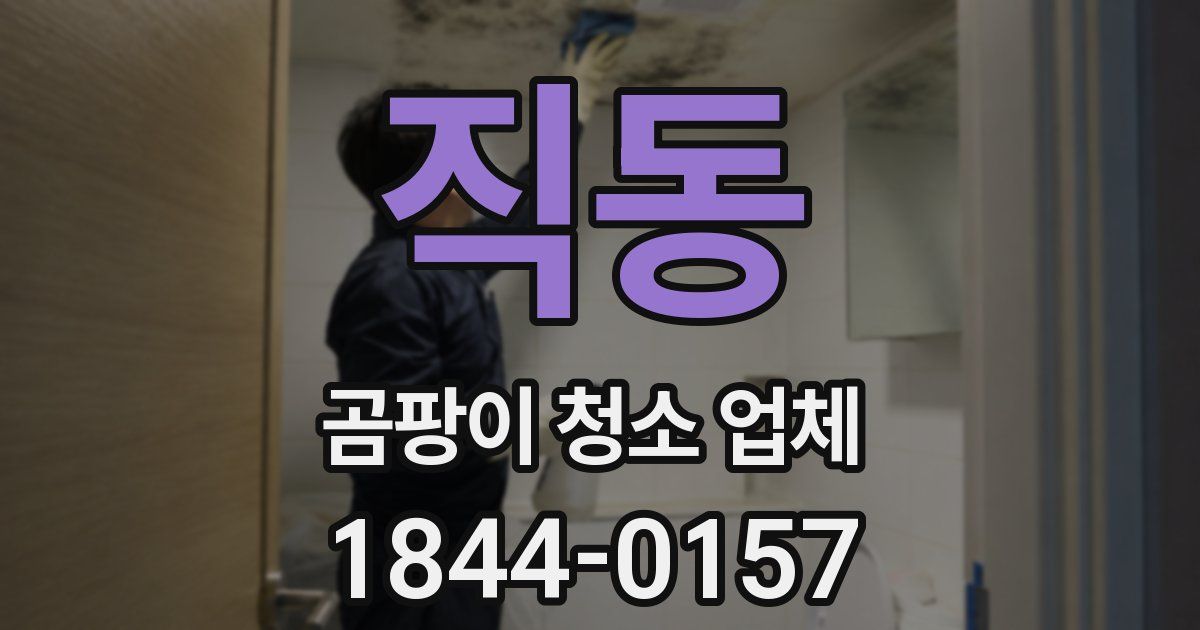 직동 곰팡이 청소 업체