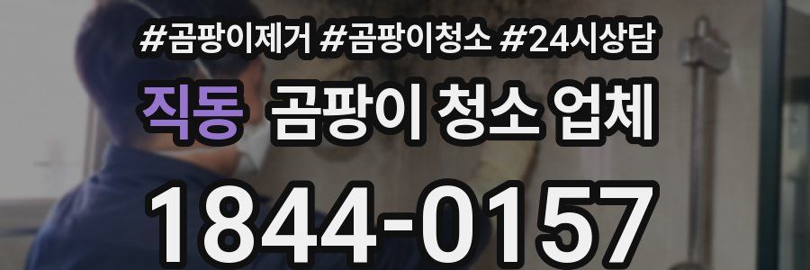 직동 곰팡이 청소 업체