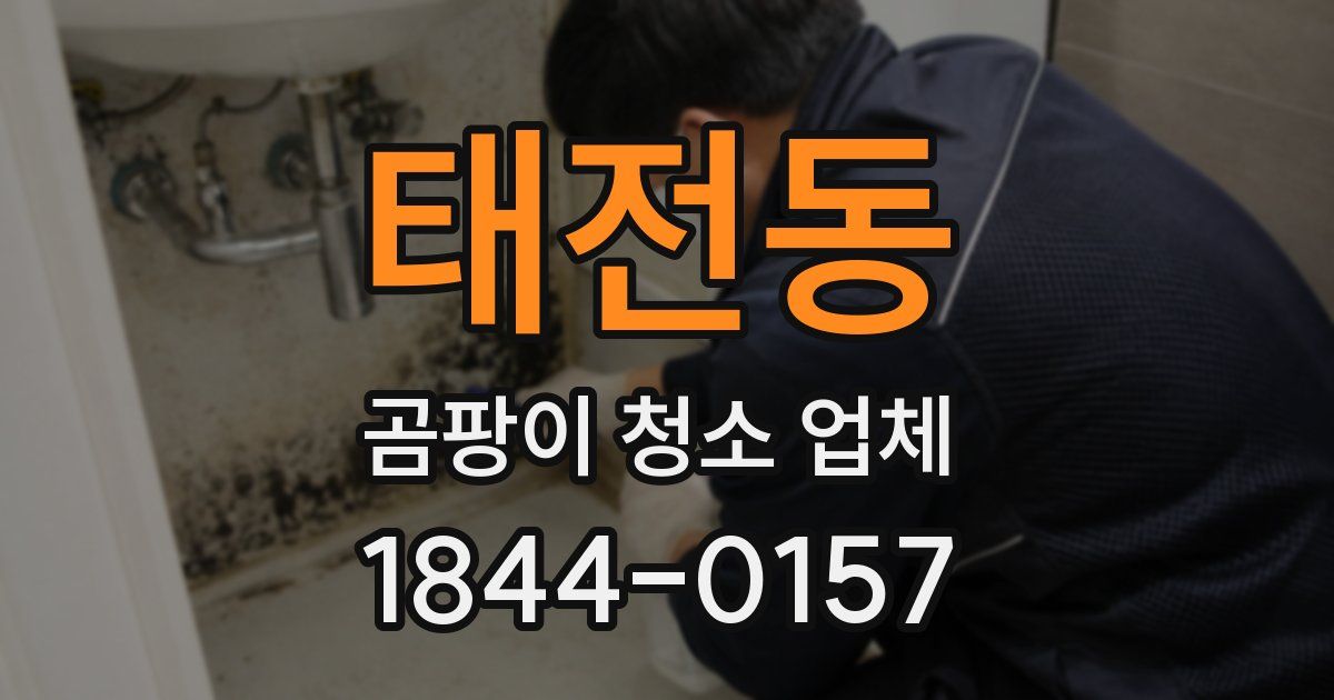 태전동 곰팡이 청소 업체