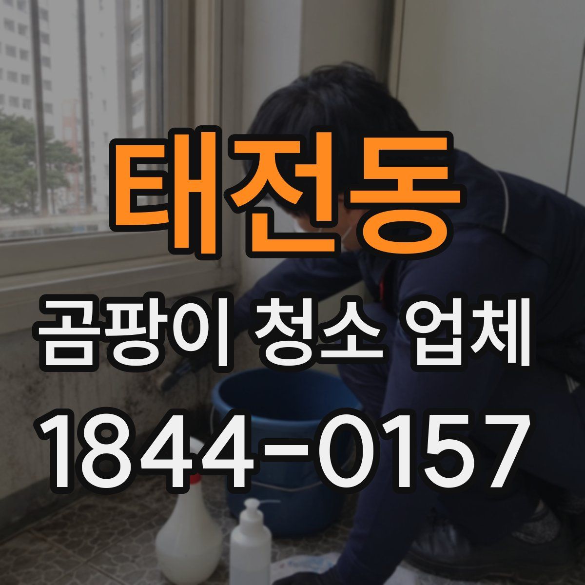 태전동 곰팡이 청소 업체