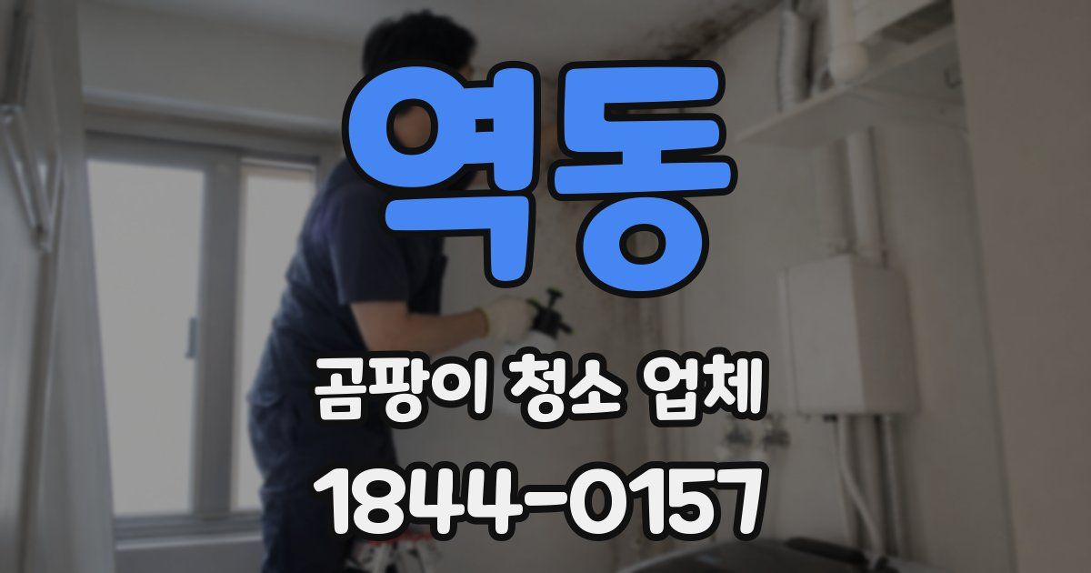 역동 곰팡이 청소 업체