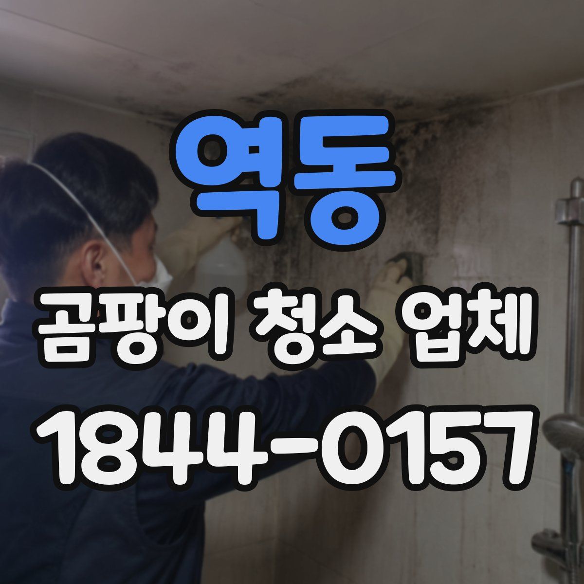 역동 곰팡이 청소 업체