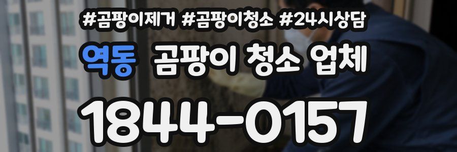 역동 곰팡이 청소 업체