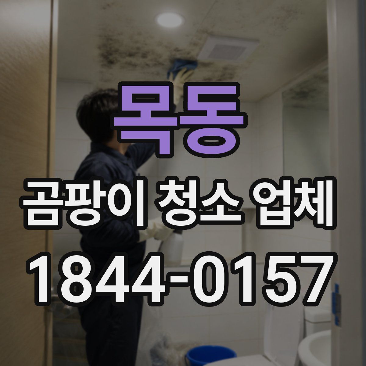 목동 곰팡이 청소 업체