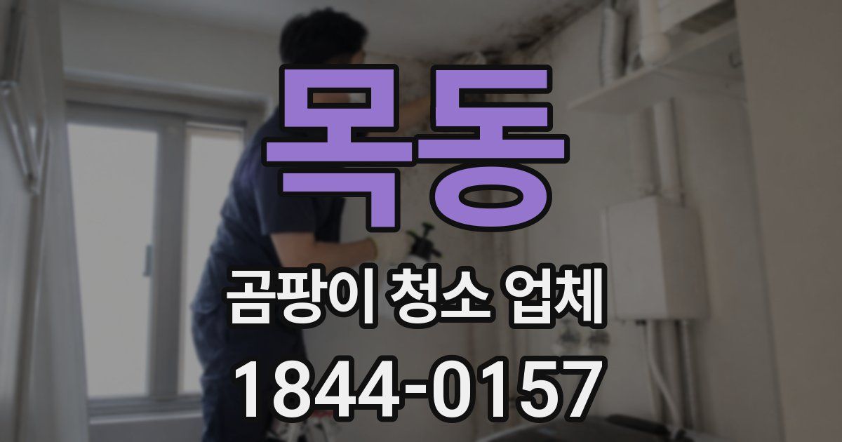 목동 곰팡이 청소 업체