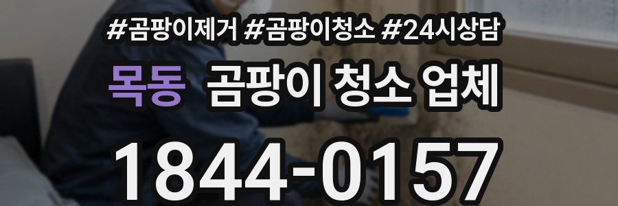 목동 곰팡이 청소 업체