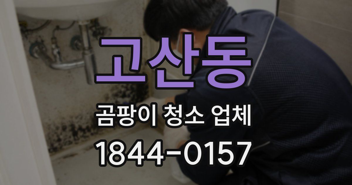 고산동 곰팡이 청소 업체