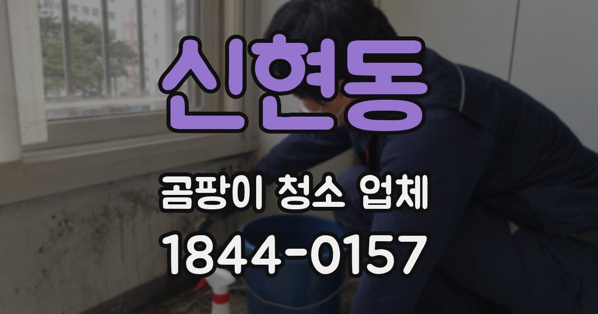 신현동 곰팡이 청소 업체