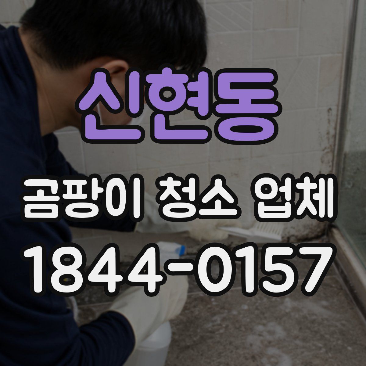 신현동 곰팡이 청소 업체