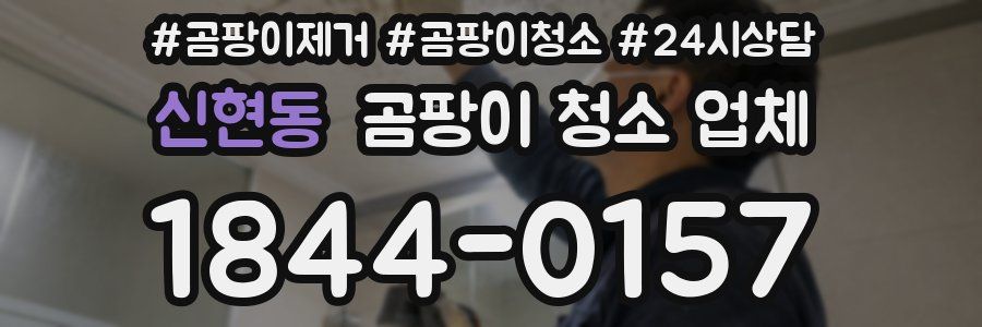 신현동 곰팡이 청소 업체