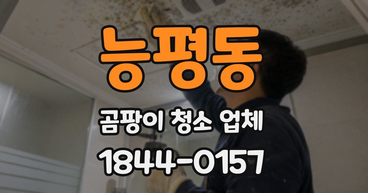 능평동 곰팡이 청소 업체