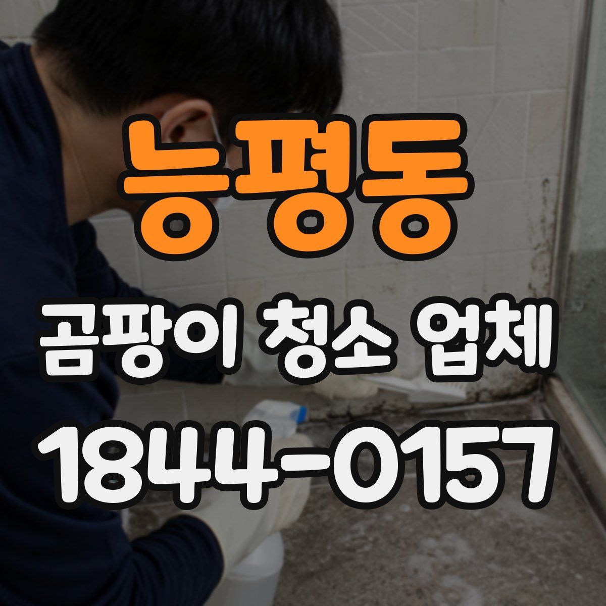 능평동 곰팡이 청소 업체