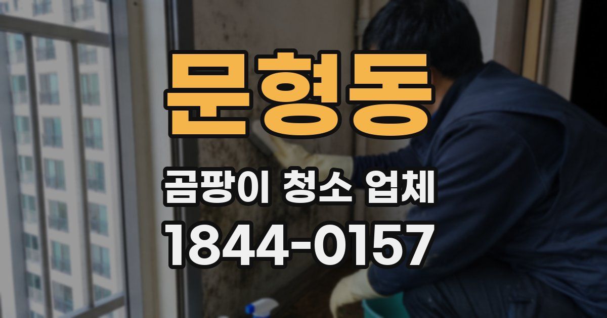 문형동 곰팡이 청소 업체