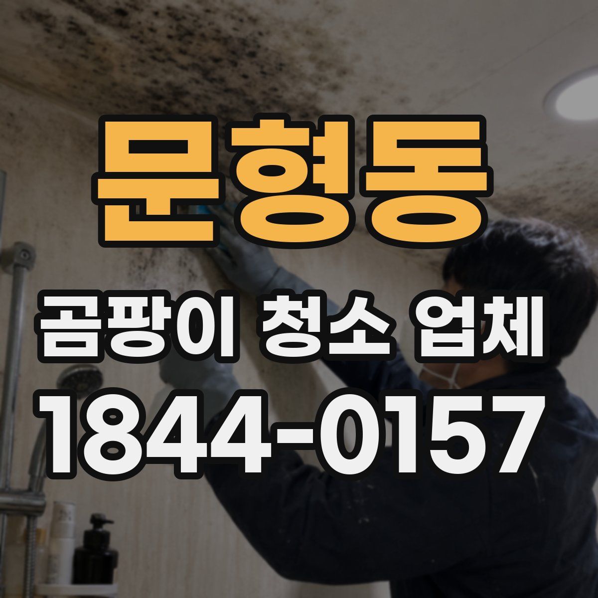 문형동 곰팡이 청소 업체